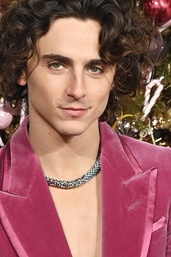 "Çılgınca, Değil mi?" Timothée Chalemet Şekerlemeden İlham Alan Özel Wonka Kolyesi İçin Cartier ile Çalıştı