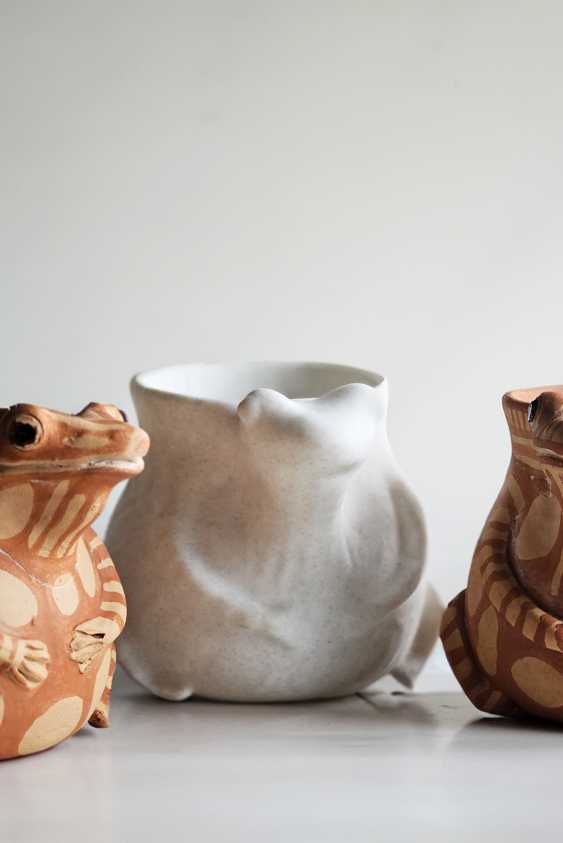 Domaniç Kurbağaları Huzur İçinde Uyuyor mu?