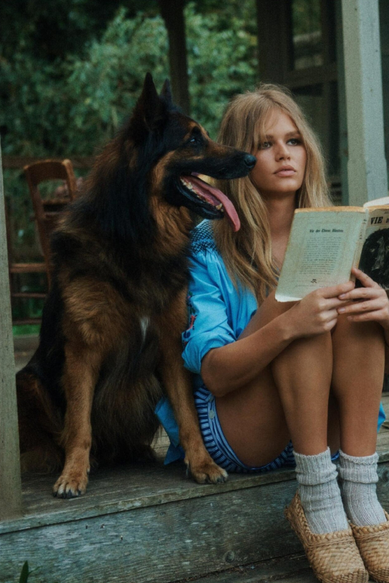 Stilize Kitap Kurtları