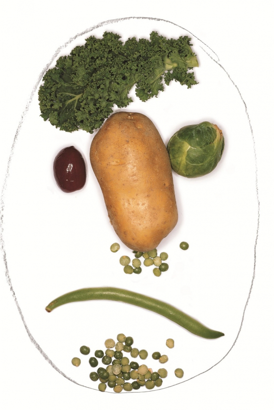 Mikrobiyom ve Yaşam Kaliteniz Üzerindeki Etkisi