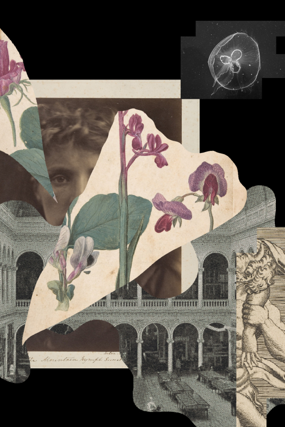 E S KİBELE YARMAN’ın “Venüs Saat Yönünde Döner” Adlı Kişisel Sergisine Özel Bakış