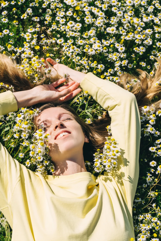 Süt Devedikeni: Karaciğer Sağlığı için Doğal Takviye