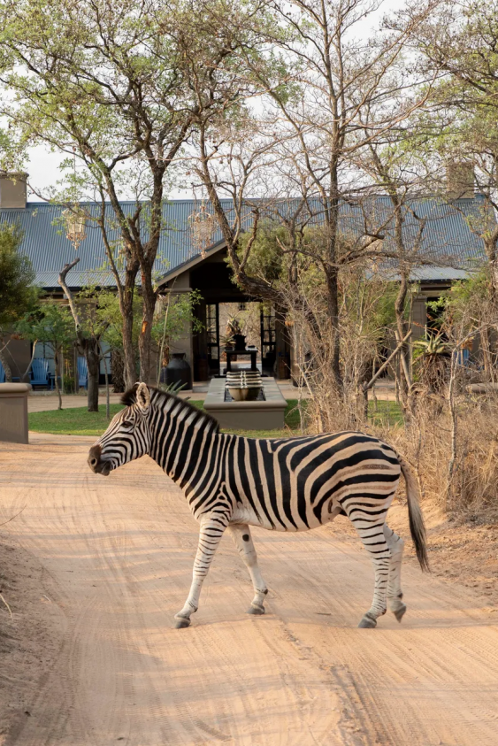 Afrika’nın En Lüks 5 Safari Konaklama Alanı