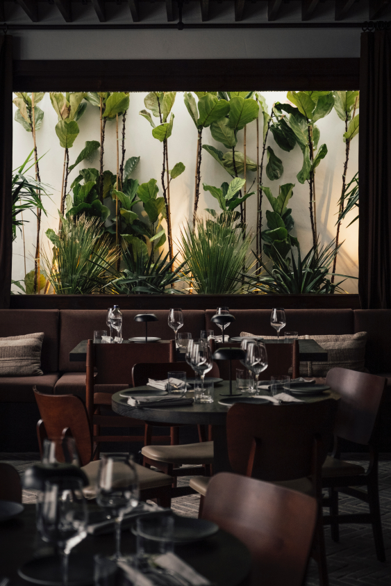 Novikov Istanbul