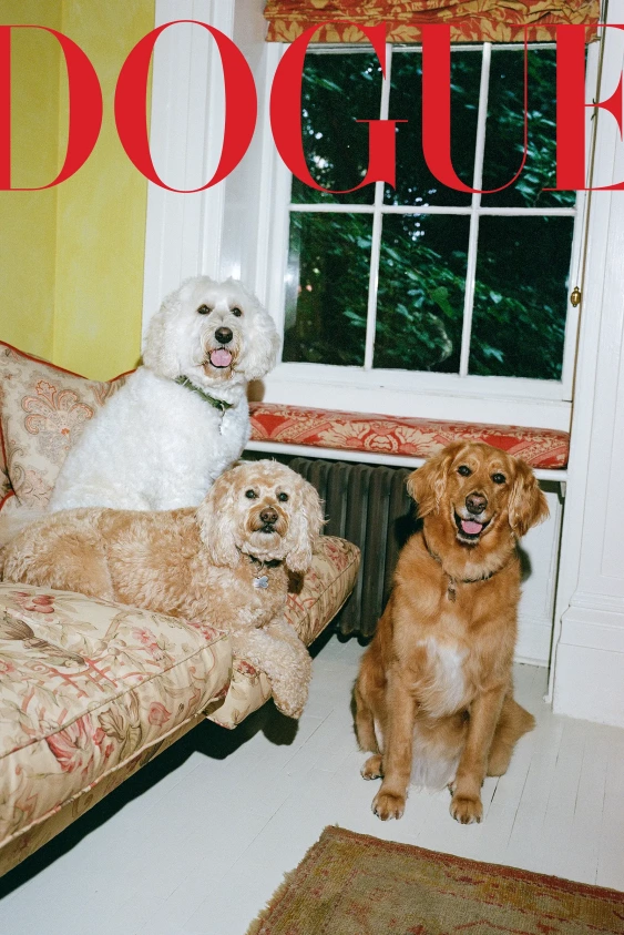 Anna Wintour'un Köpekleri Tenis Toplarını ve Araba Yolculuklarını Sever
