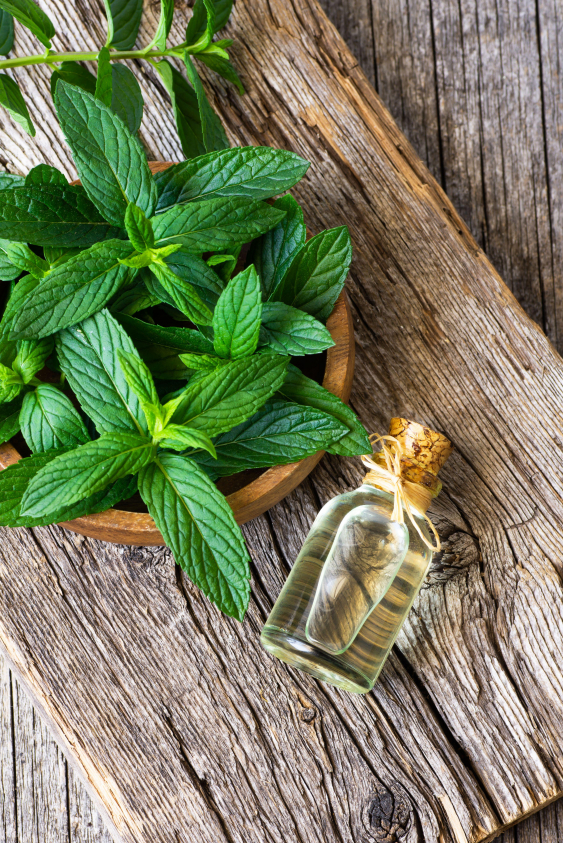 Nane Yağının Saça Faydaları