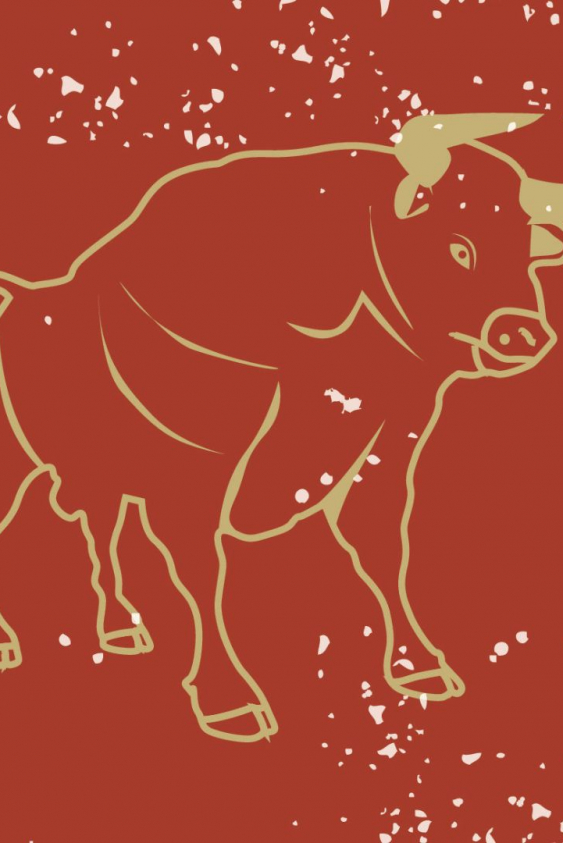 Boğa Burcu 2025 Yılı Yorumları