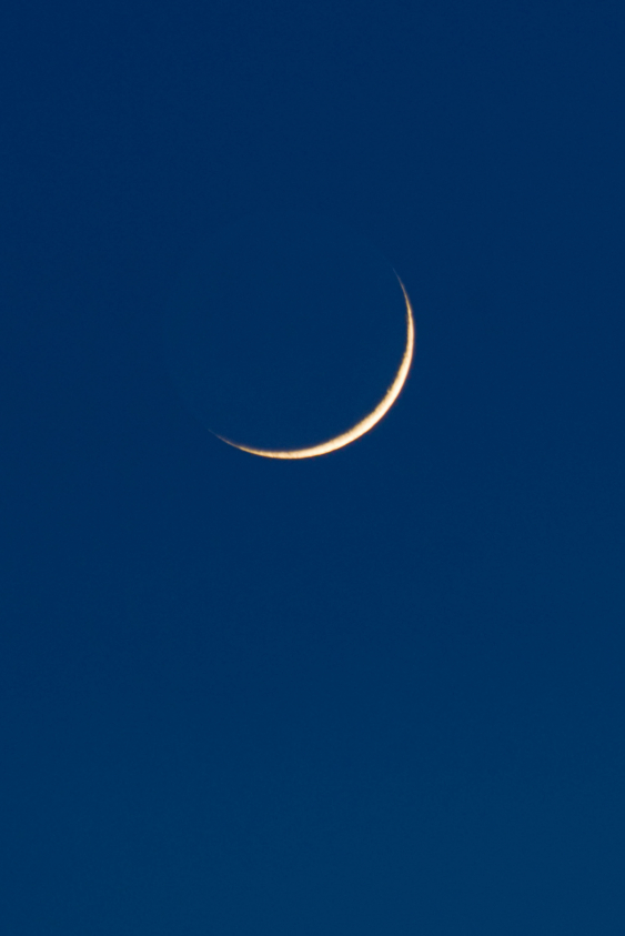 29 Ocak Kova Yeni Ayı Burç Yorumları