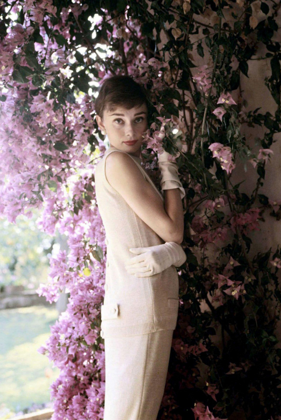 Boğa Burcunun Özellikleri