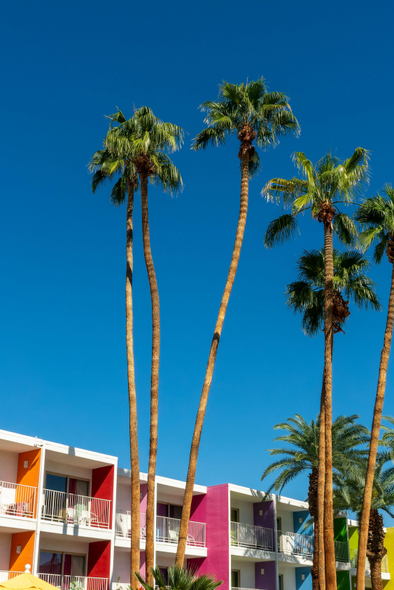 Palm Springs’ten Mendocino’ya Kaliforniya Rotaları Palm Springs’ten Mendocino’ya Kaliforniya Rotaları