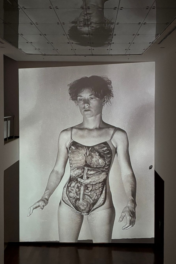 İstanbul Sergi Rehberi: Eylül 2025 Bitmeden Görmeniz Gereken Sergiler