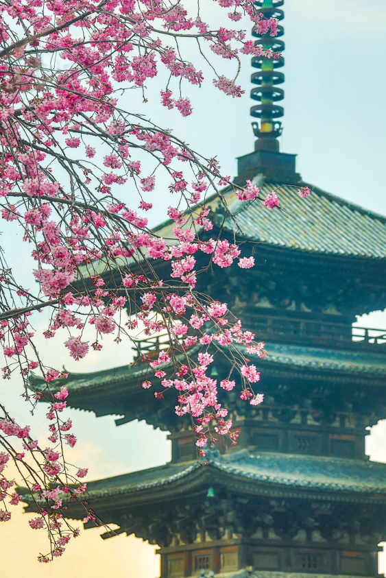 Japonya’ya İlk Kez Gidecekler İçin Görülmesi Gereken En Güzel Şehirler