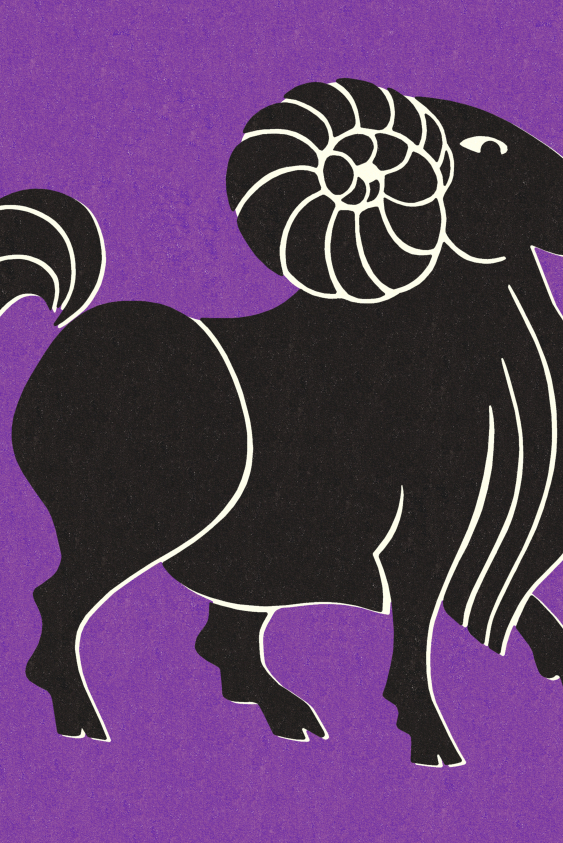 Koç Burcunun Aşk Hayatı