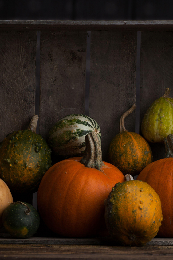 Sonbaharda Keşfedebileceğiniz Gastronomi Odaklı Rotalar