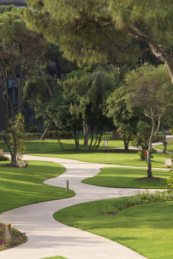 Şehrin Kalbinde Bir Bağ Bozumu Ritüeli: İzmir’de Zamanı Yavaşlatan Bir Gün