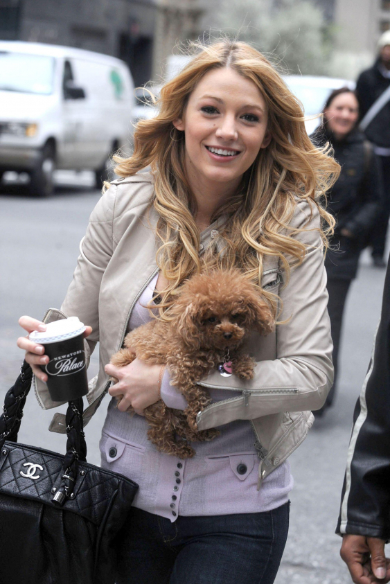 5 - 11 Ocak Haftalık Burç Yorumları