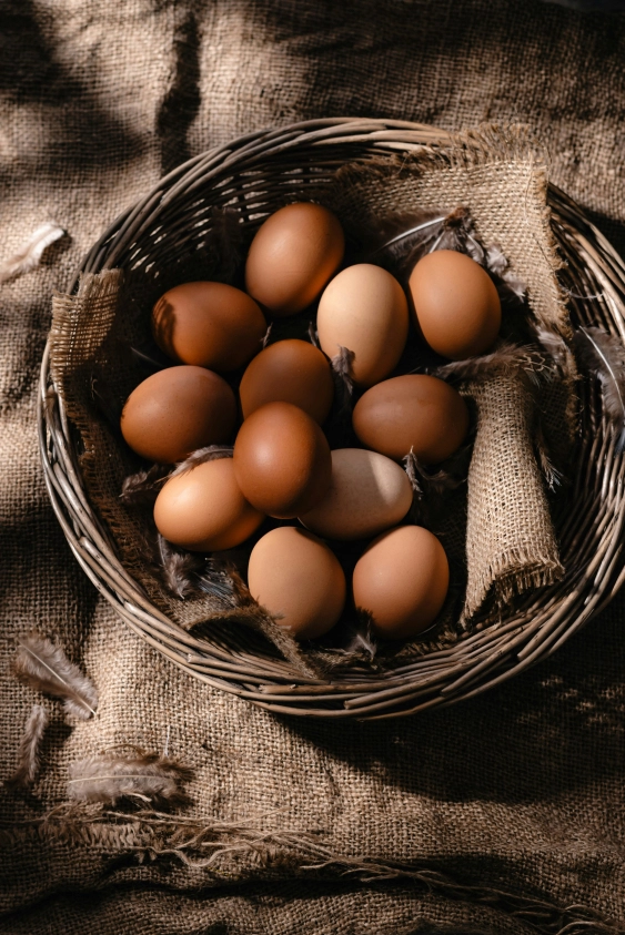 Günde Ne Kadar Protein Tüketmeliyiz? Günde Ne Kadar Protein Tüketmeliyiz?