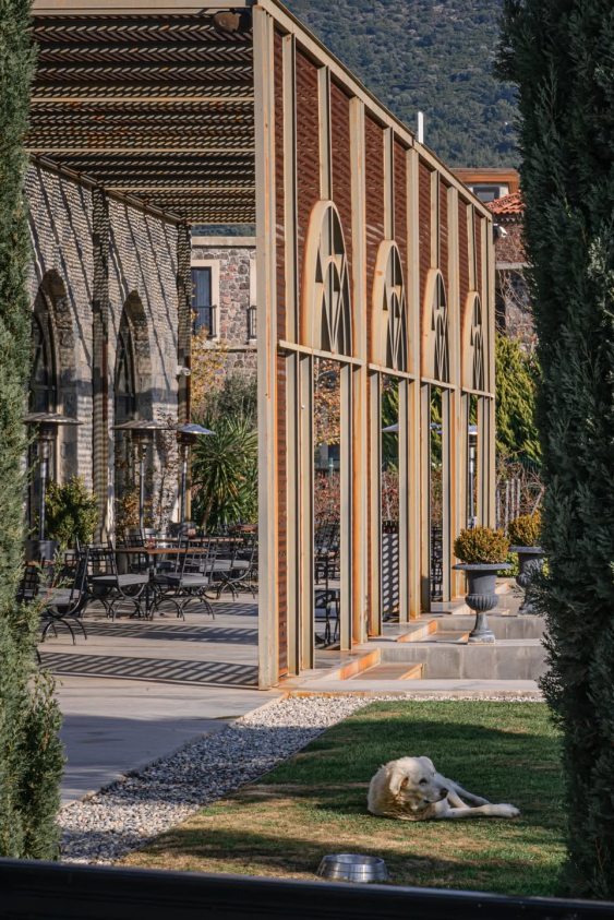 Urla’nın Gastronomi Durakları