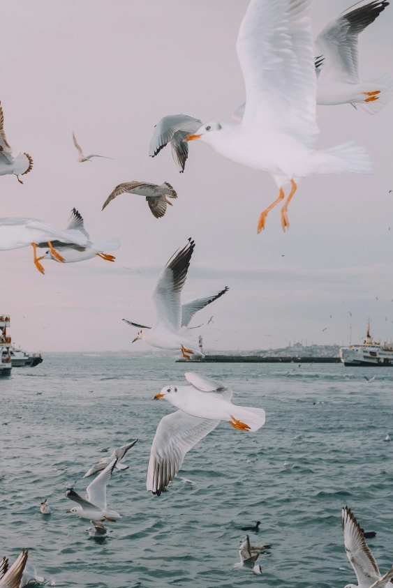 Fotoğraf Sanatçısı Ci Demi: “Bir korku filmi çektiğimi hayal ederek fotoğraf çekiyorum.”