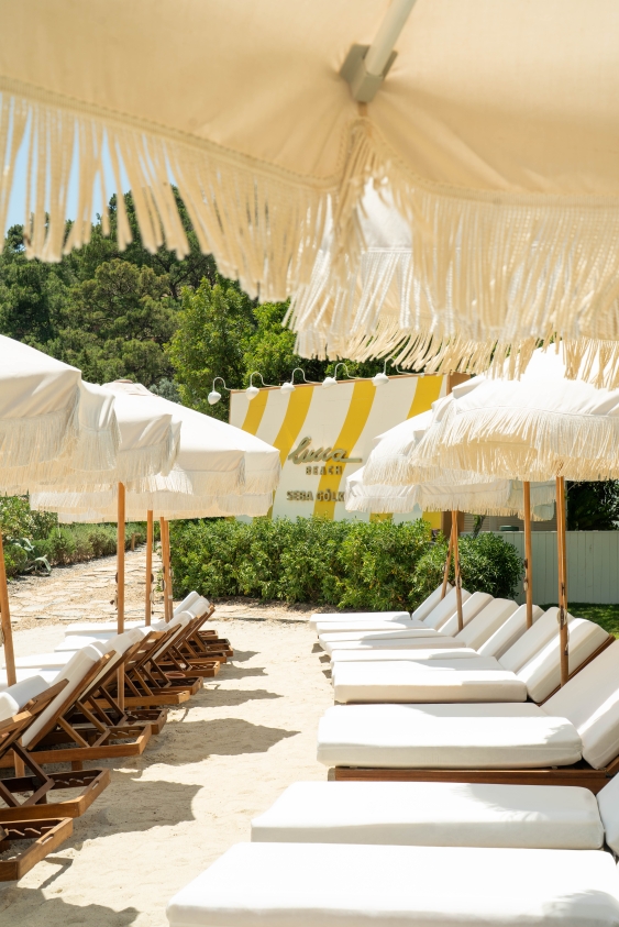 Bodrum Mekanları: Lucca'da Yeni Bir Dönem Başladı