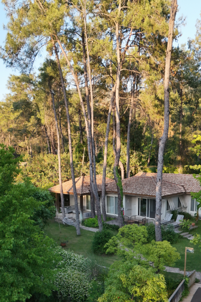 Doğanın Kalbinde Sürdürülebilir Lüks ve Sanatla İç İçe Bir Kaçış
