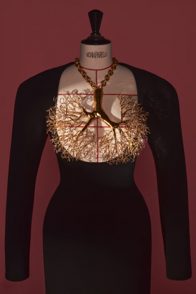 Victoria ve Albert Müzesi, Schiaparelli Sergisine Ev Sahipliği Yapacak