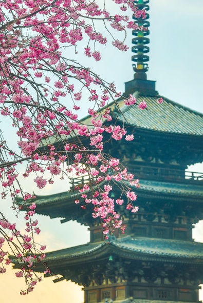 Japonya’ya İlk Kez Gidecekler İçin Görülmesi Gereken En Güzel Şehirler