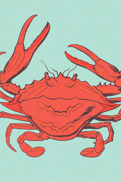 Yengeç Burcunun Aşk Hayatı