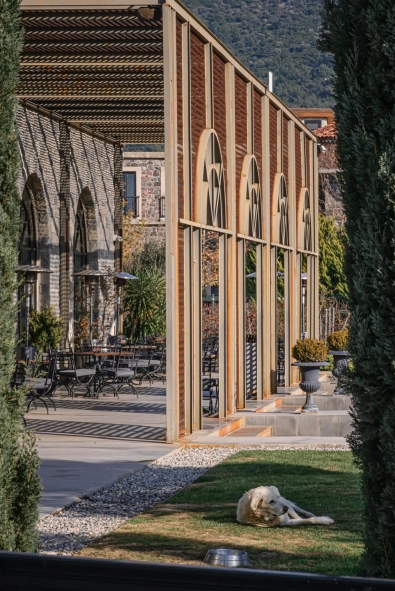 Urla’nın Gastronomi Durakları