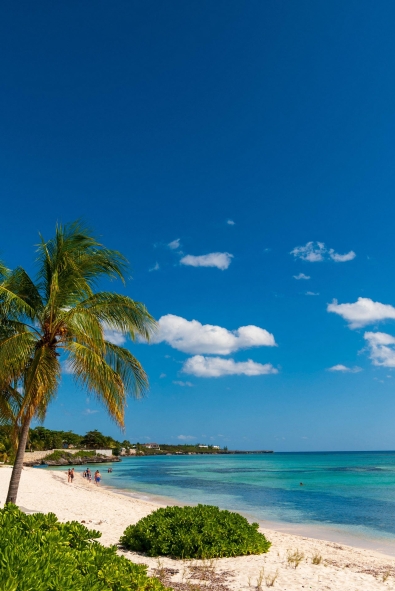 Grand Cayman’da 24 Saat