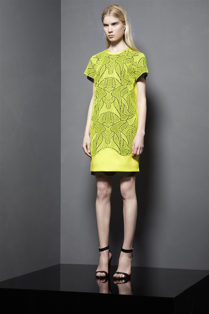 Proenza Schouler 2013 Resort