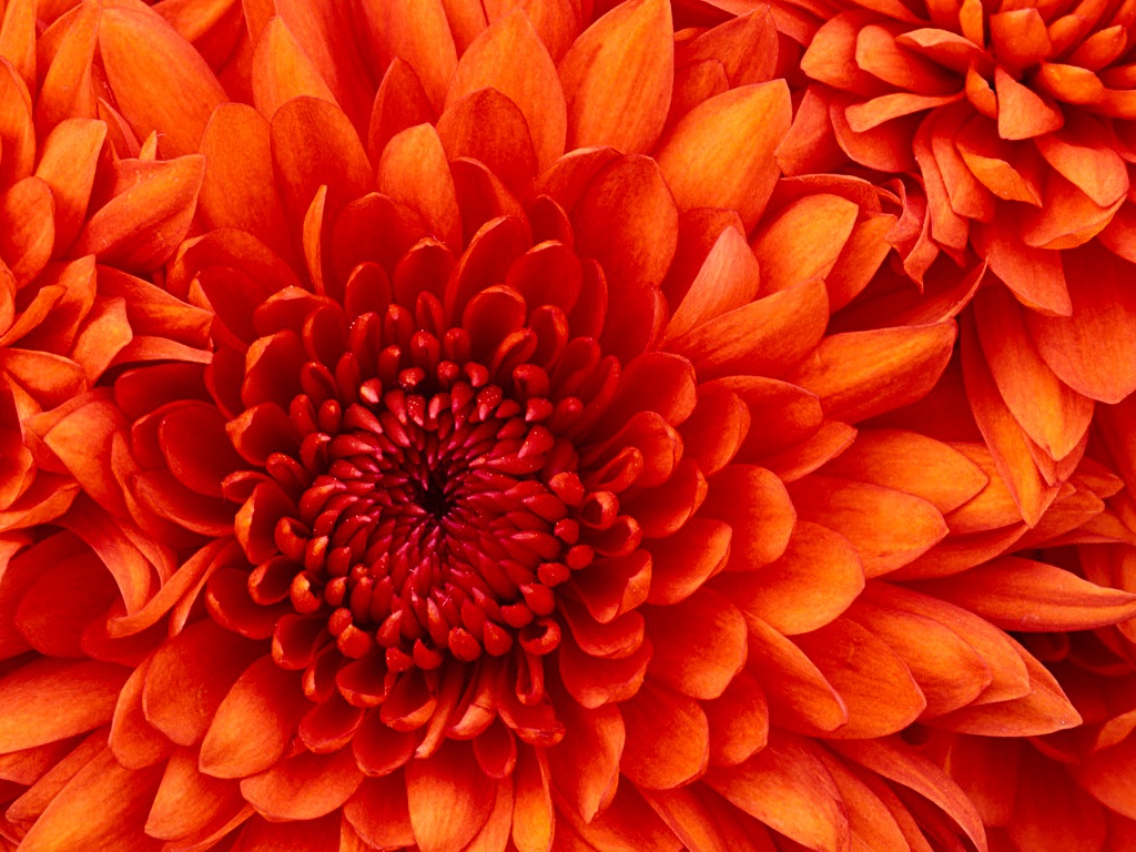 aa