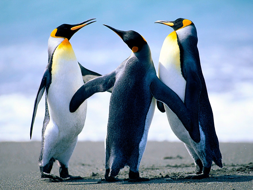 aa