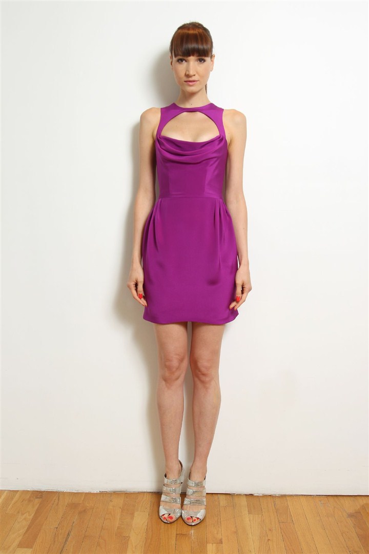 Cushnie et Ochs 2013 Resort