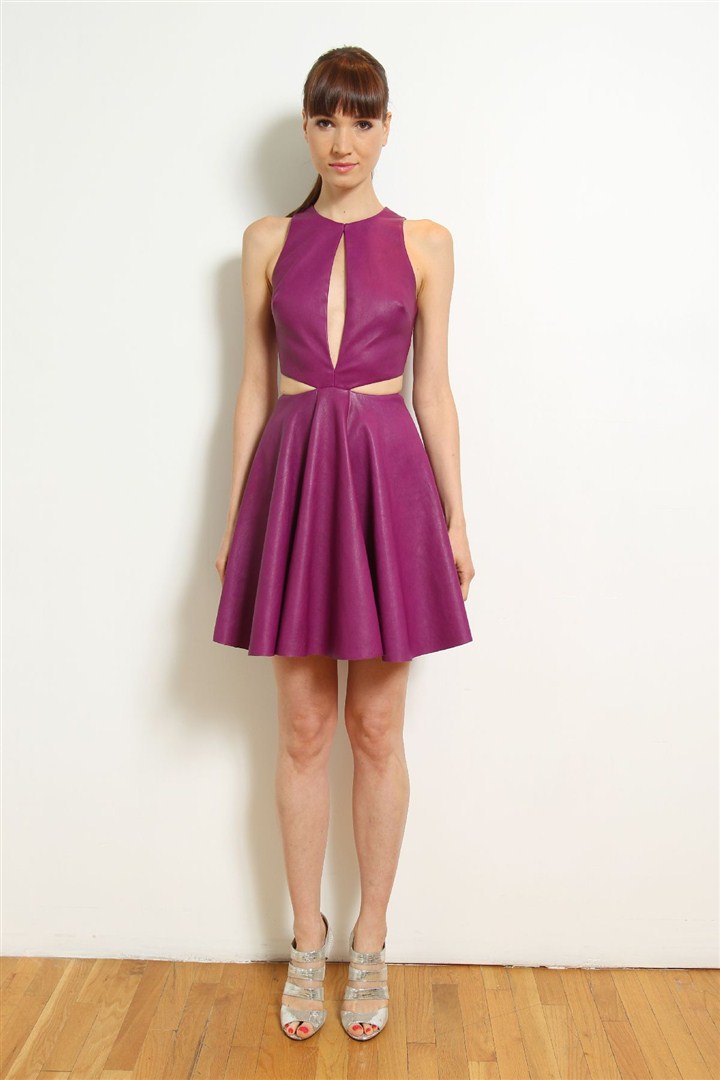 Cushnie et Ochs 2013 Resort