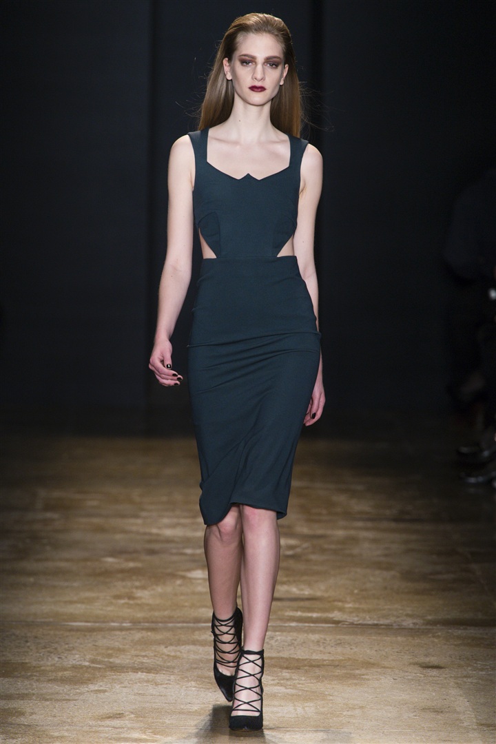 Cushnie et Ochs 2013-2014 Sonbahar/Kış