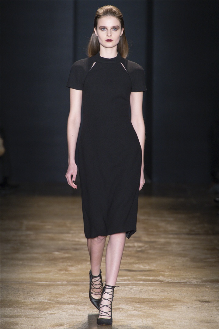 Cushnie et Ochs 2013-2014 Sonbahar/Kış