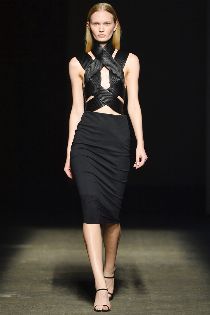 Dion Lee 2014 İlkbahar/Yaz