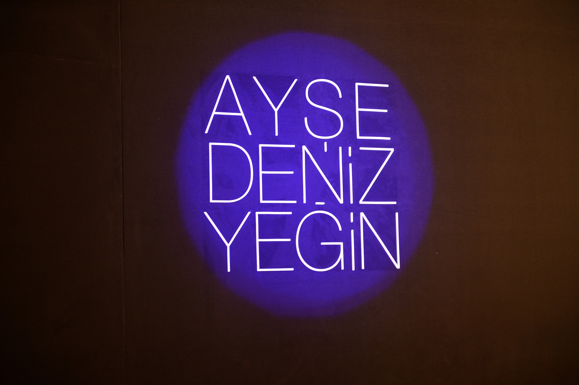 Ayşe Deniz Yeğin 2014 İlkbahar/Yaz