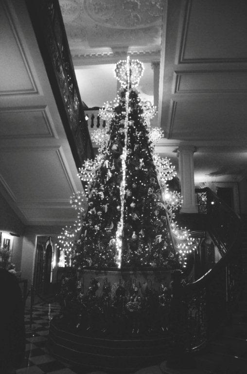 Dolce & Gabbana Claridge's Event 