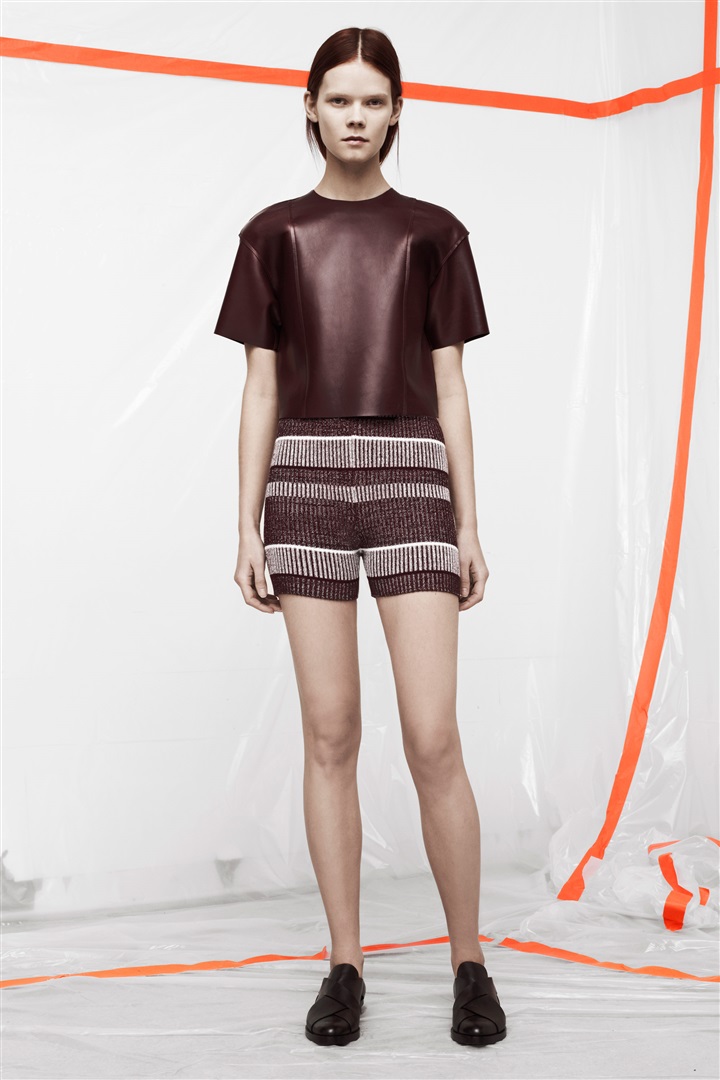 T by Alexander Wang 2014 Pre-Fall