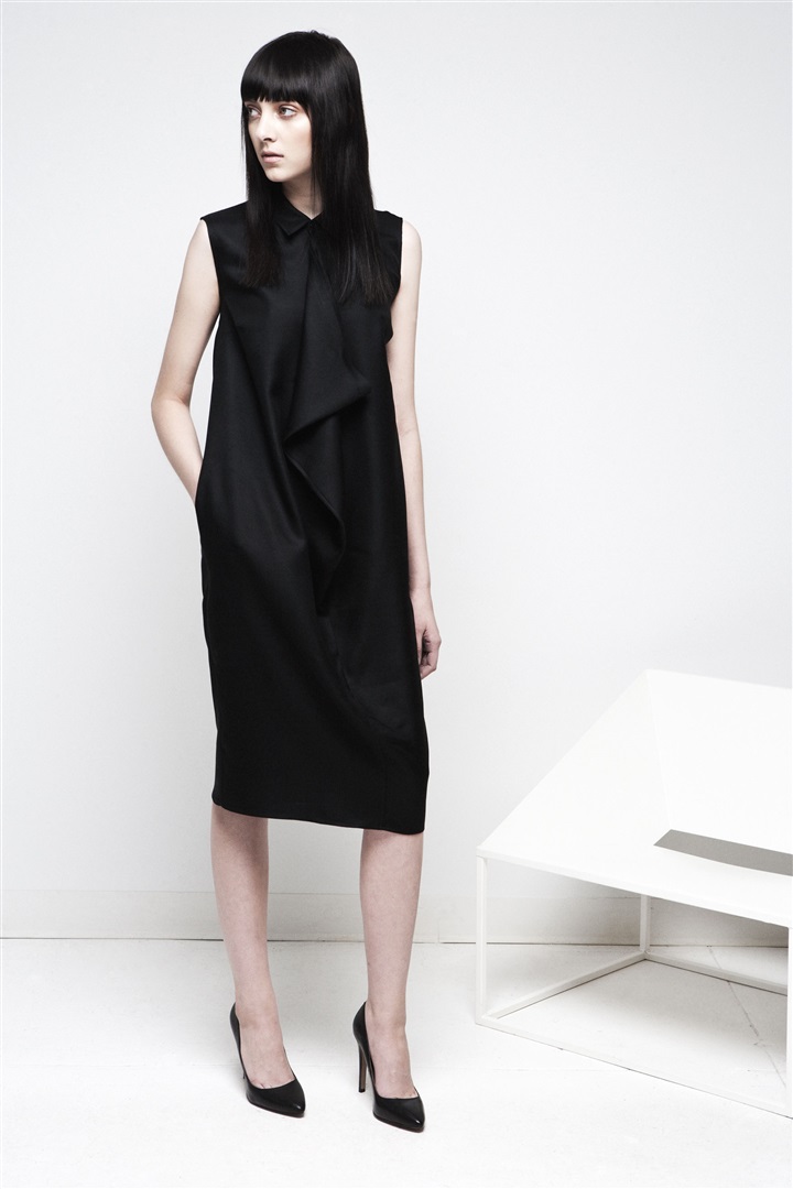 Wayne 2014 Pre-Fall