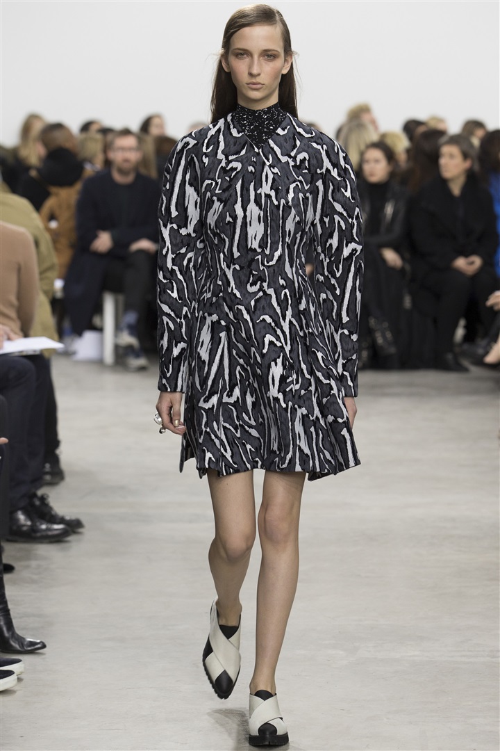 Proenza Schouler 2014-2015 Sonbahar/Kış