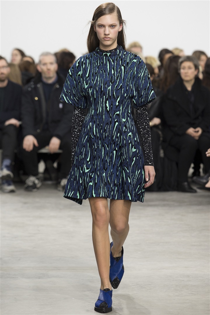 Proenza Schouler 2014-2015 Sonbahar/Kış