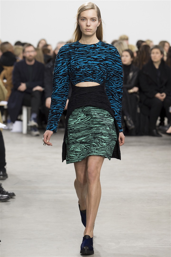 Proenza Schouler 2014-2015 Sonbahar/Kış