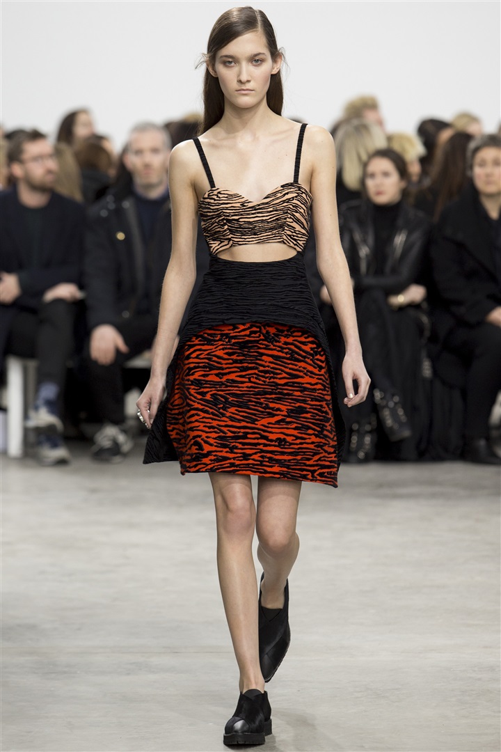 Proenza Schouler 2014-2015 Sonbahar/Kış