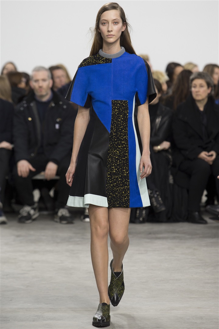 Proenza Schouler 2014-2015 Sonbahar/Kış