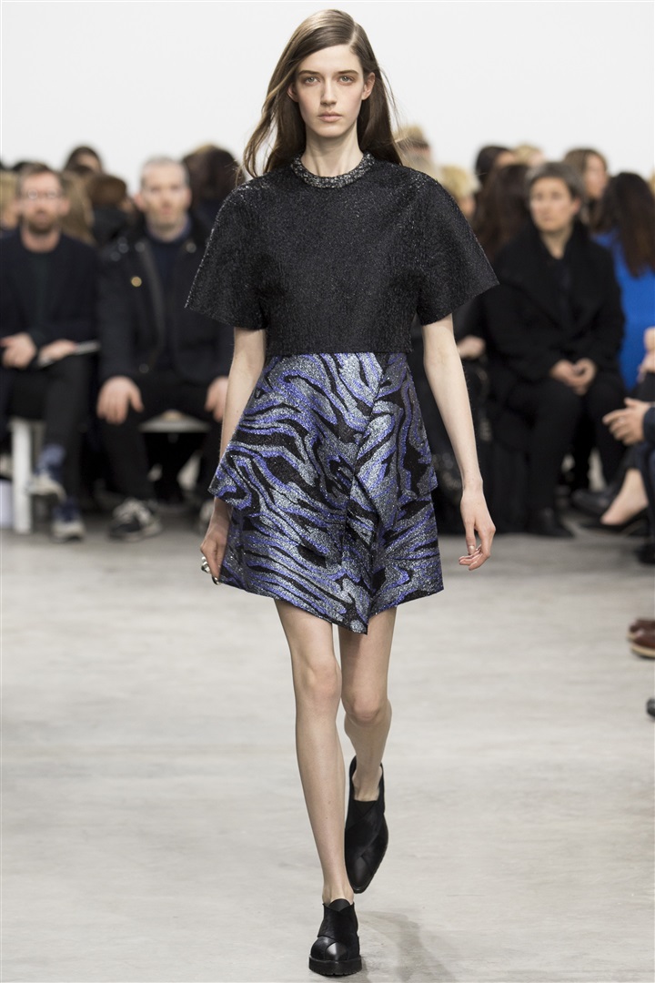 Proenza Schouler 2014-2015 Sonbahar/Kış