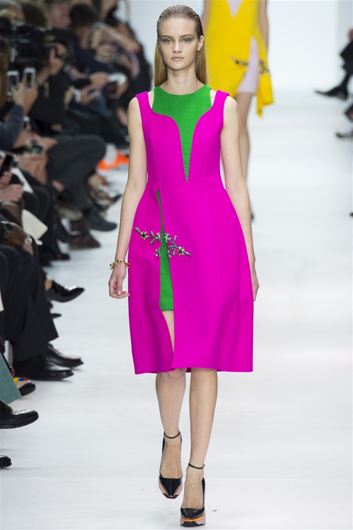 Christian Dior 2014-2015 Sonbahar/Kış