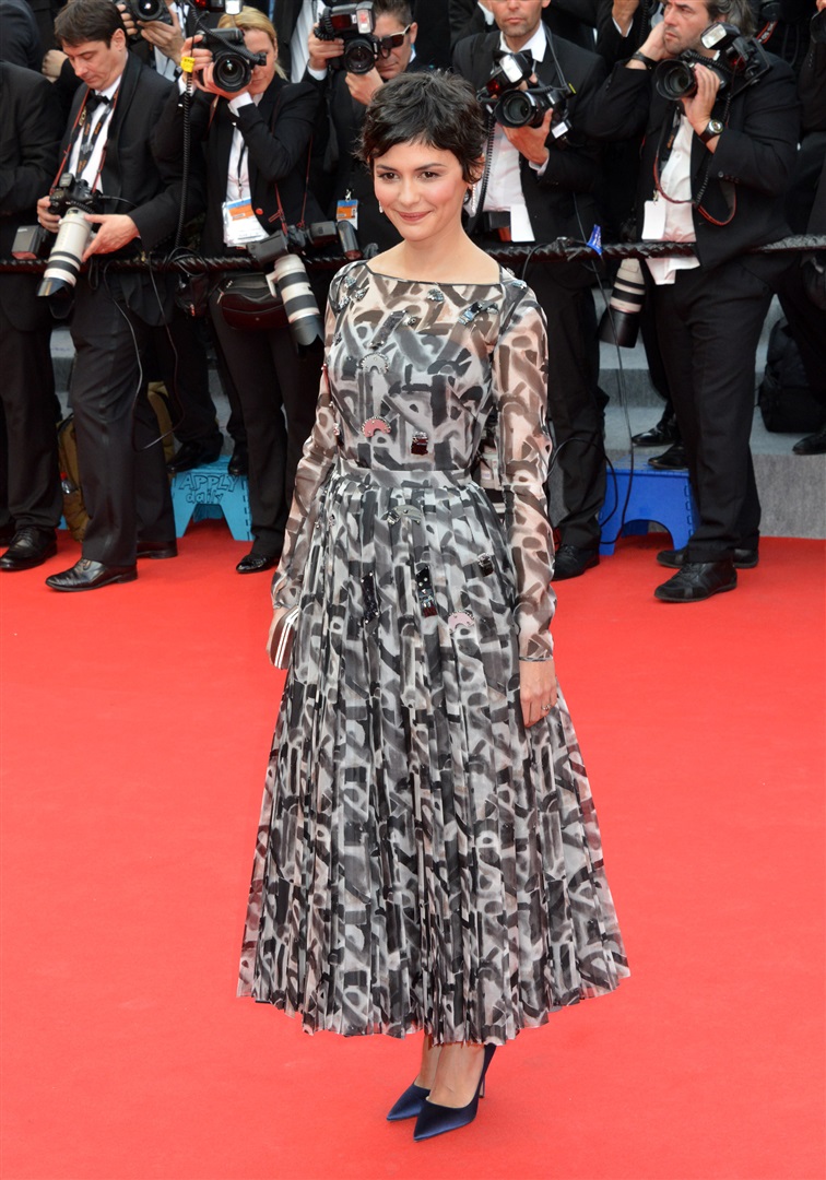 2014 Cannes Film Festivali